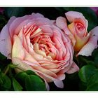 Abraham Darby