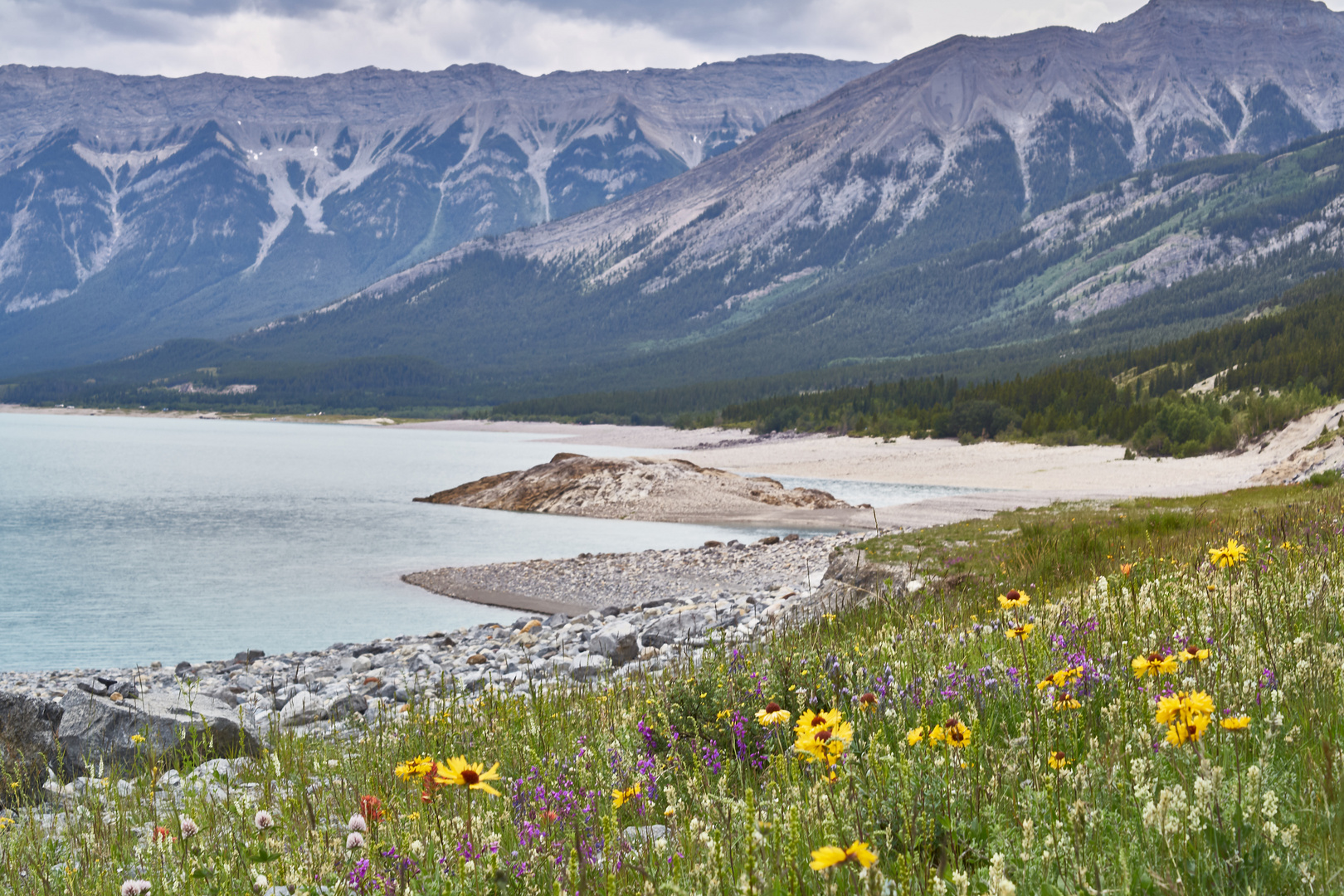 Abraham Lake 2