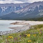 Abraham Lake 2