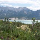 Abraham Lake