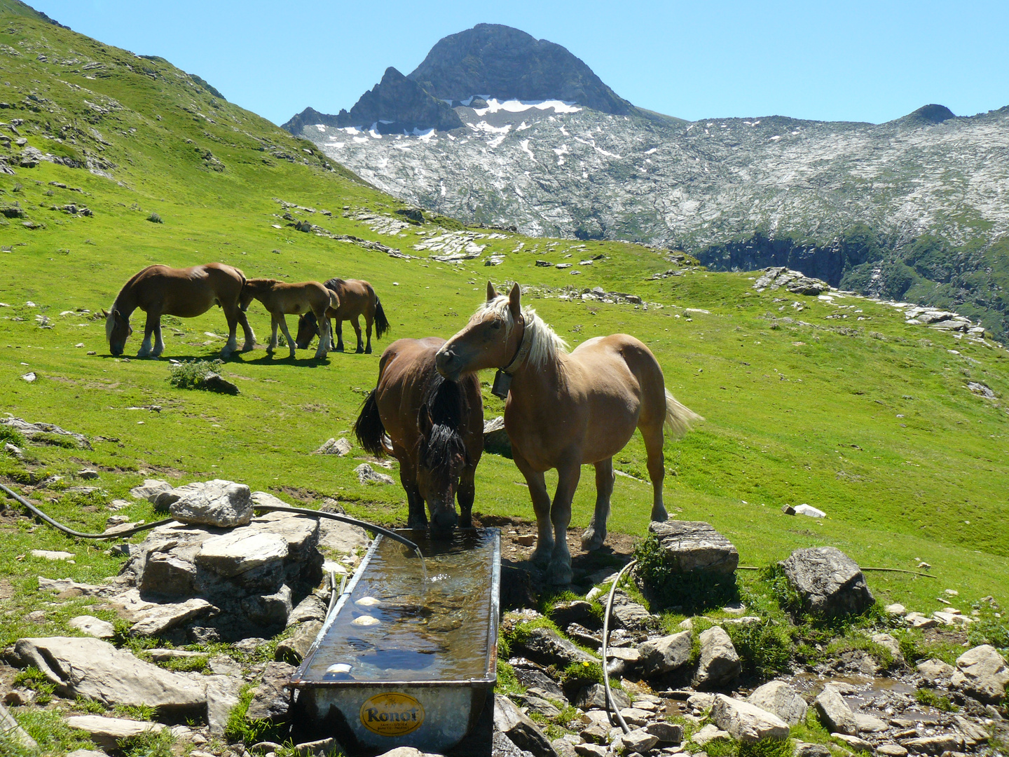 Abreuvoir de la Cabane des Espugues,Montvalier,Couserans,Ariège,Pyrénées.