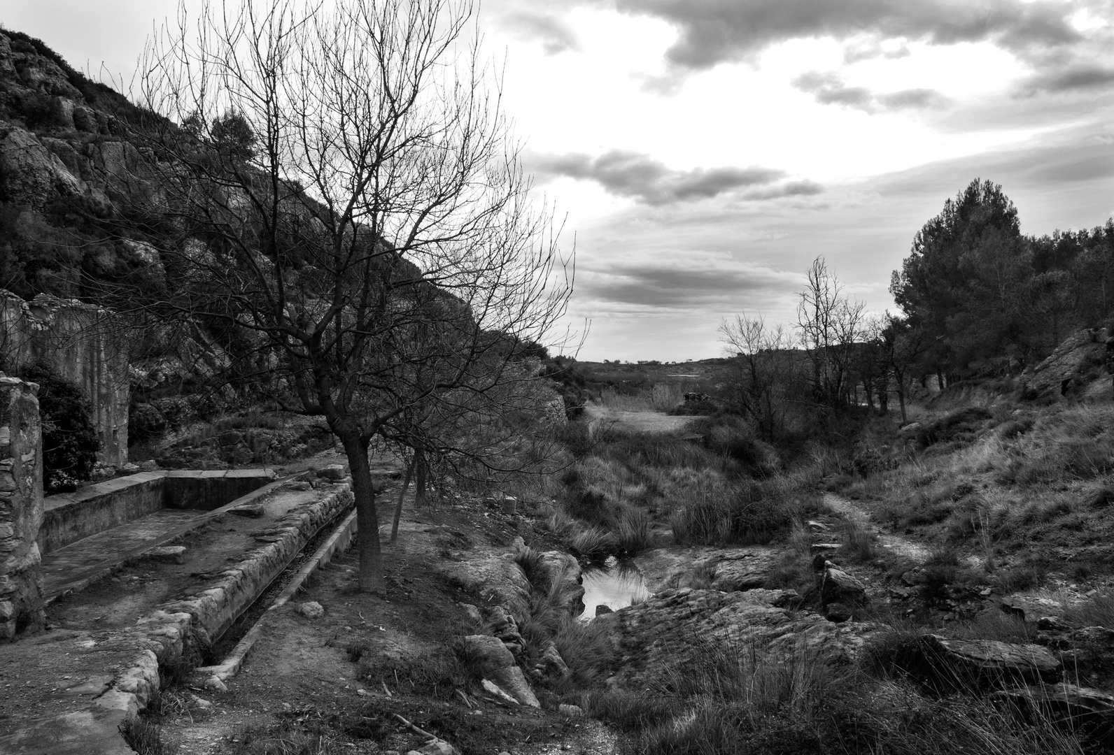 Abrevadero abandonado.