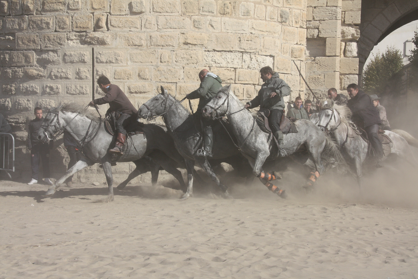 Abrivado d'Aigues Mortes