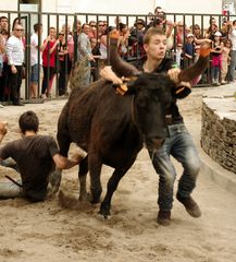 Abrivado, Feria d'Alès, Gard (3)