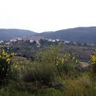 Abruzzenbergdorf  Calascio mit Ginster