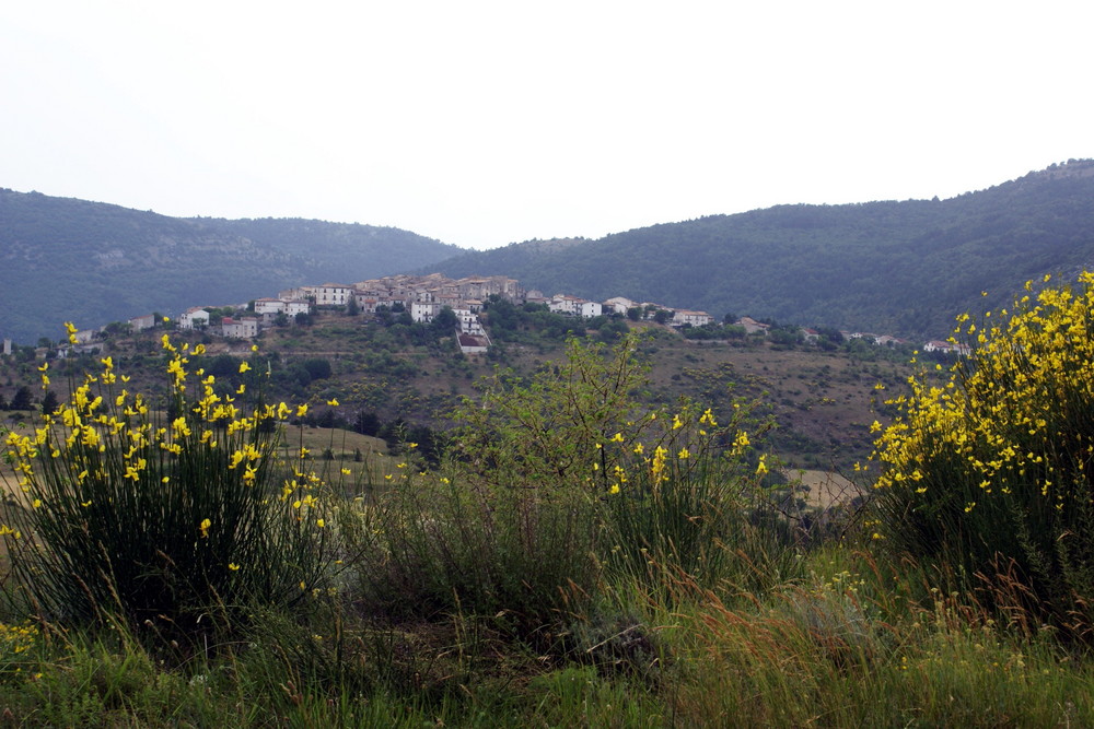 Abruzzenbergdorf  Calascio mit Ginster