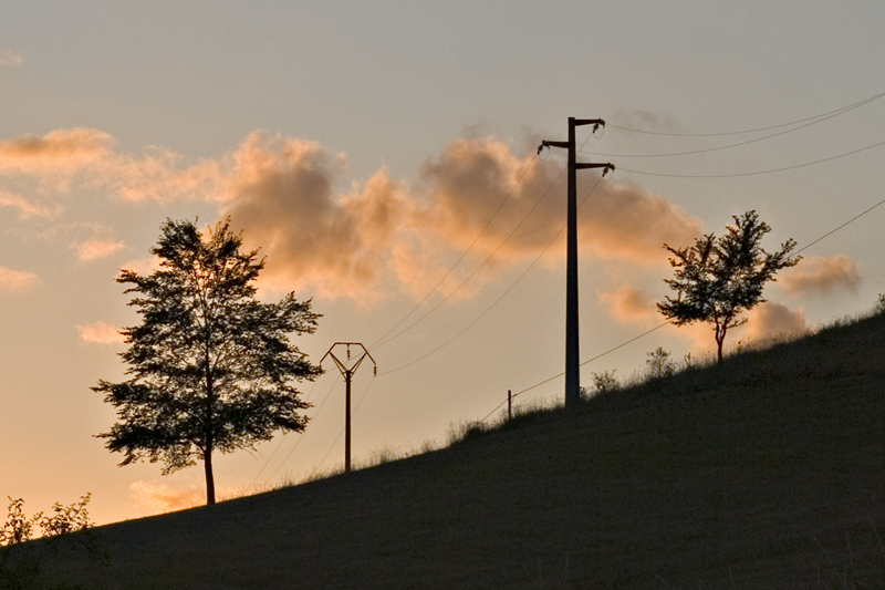 Abruzzesische Bäume in der Abendsonne