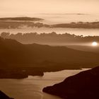 Absacker am Thuner See