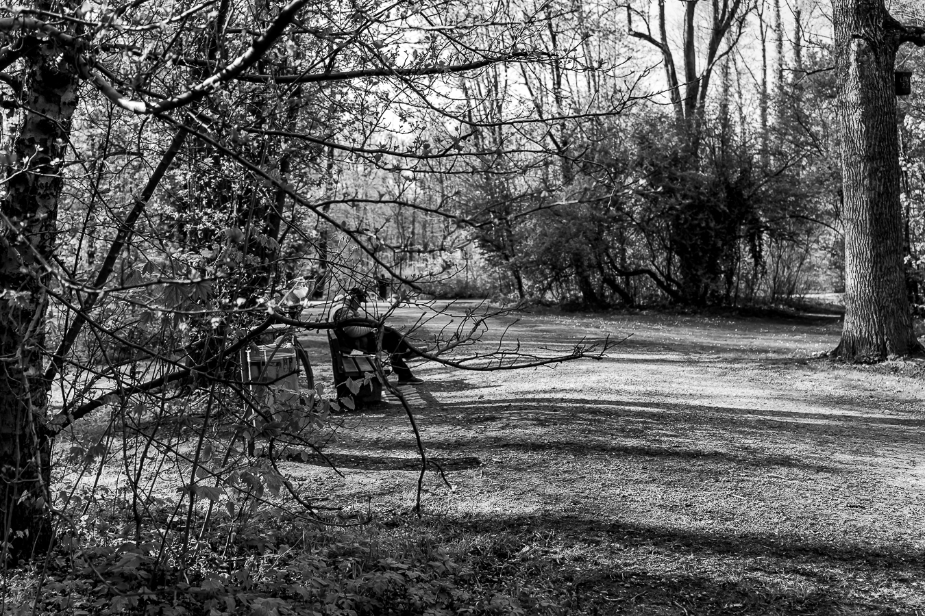 Abschalten im Park