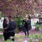 Abschalten und Auftanken im Botanischen Garten (0)