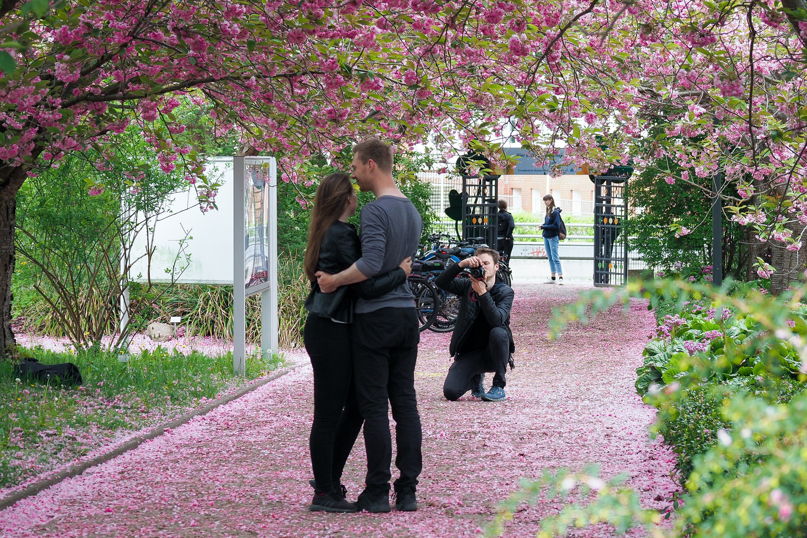 Abschalten und Auftanken im Botanischen Garten (1)