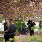 Abschalten und Auftanken im Botanischen Garten (2)