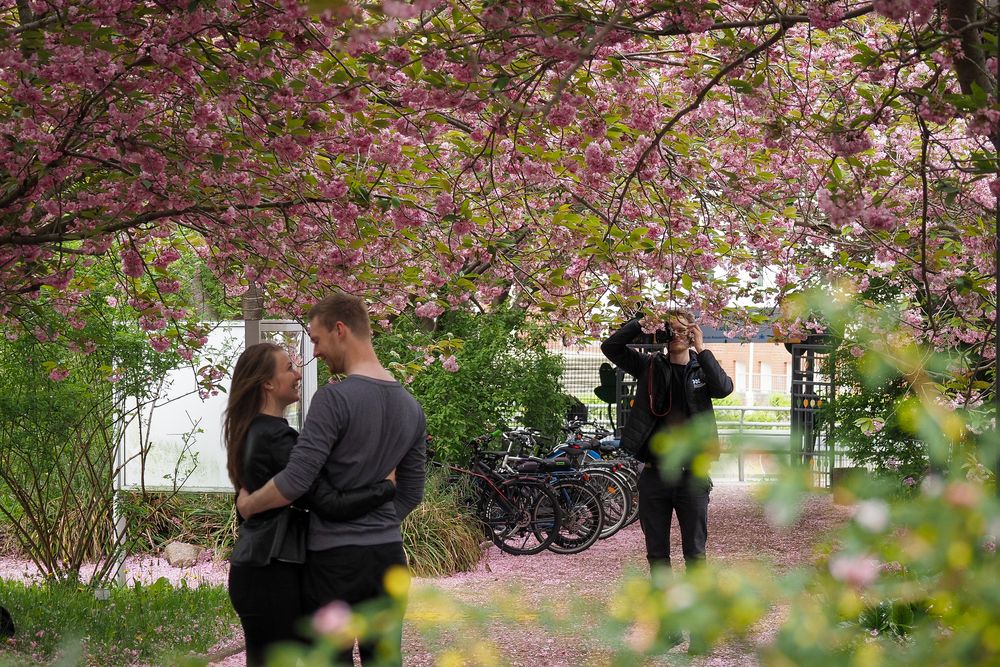 Abschalten und Auftanken im Botanischen Garten (2)