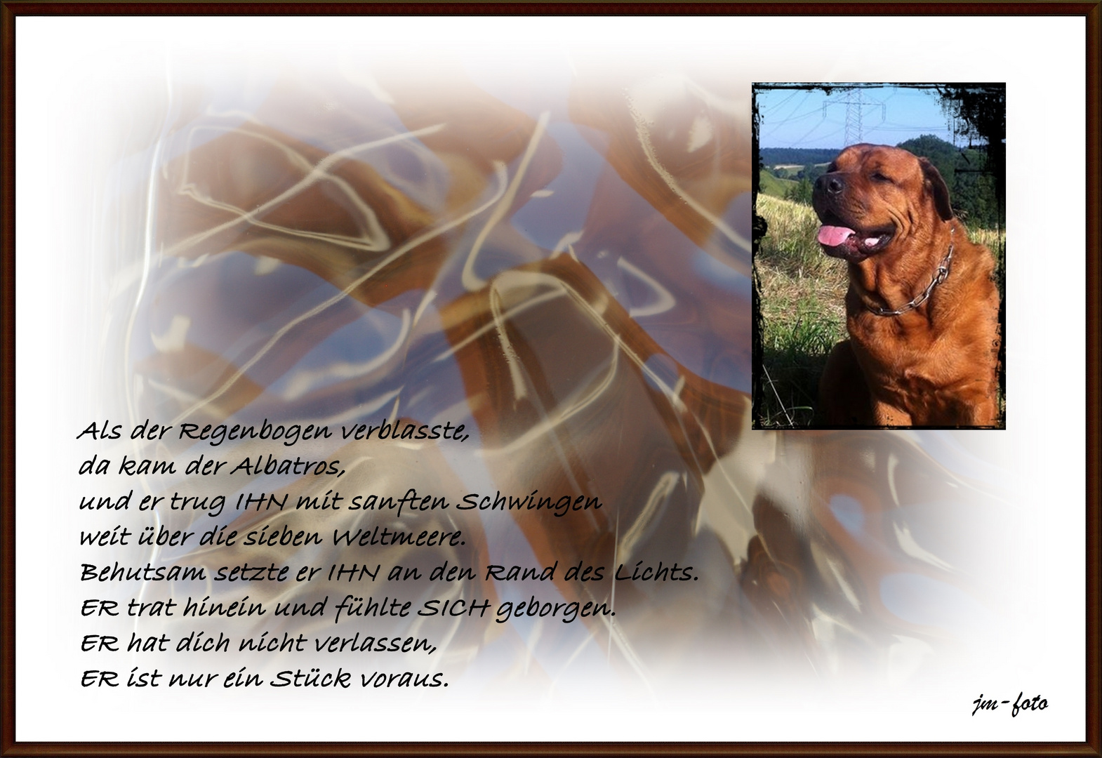 Abschied Foto Bild Trauerkarten Trauer Spruch Und Bilder Bilder Auf Fotocommunity