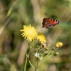 Abschied bis zum Frühjahr