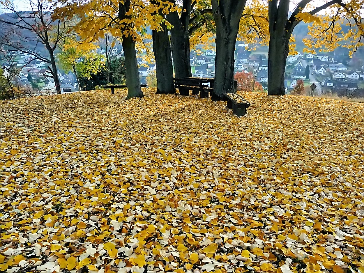 Abschied der Blätter