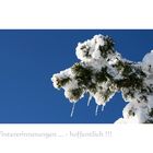 Abschied des Winters ...