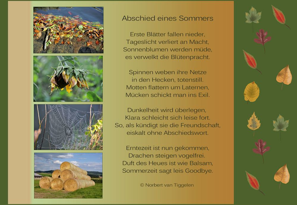 ABSCHIED eines SOMMERS