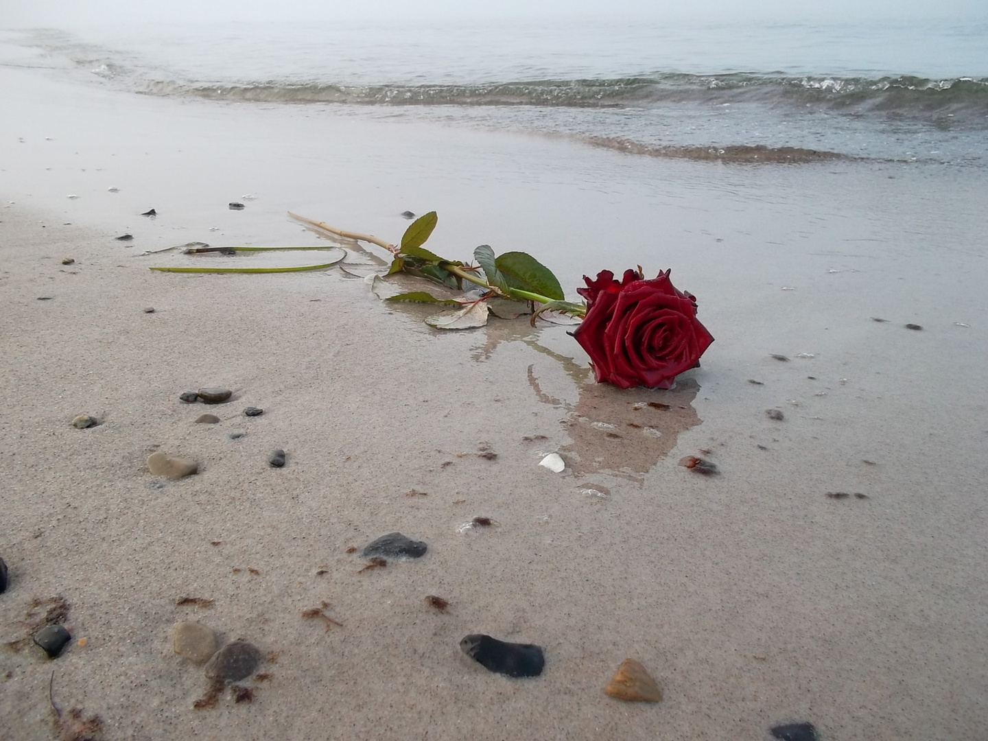 Saying Goodbye: The Art of Bild Abschied Trauer