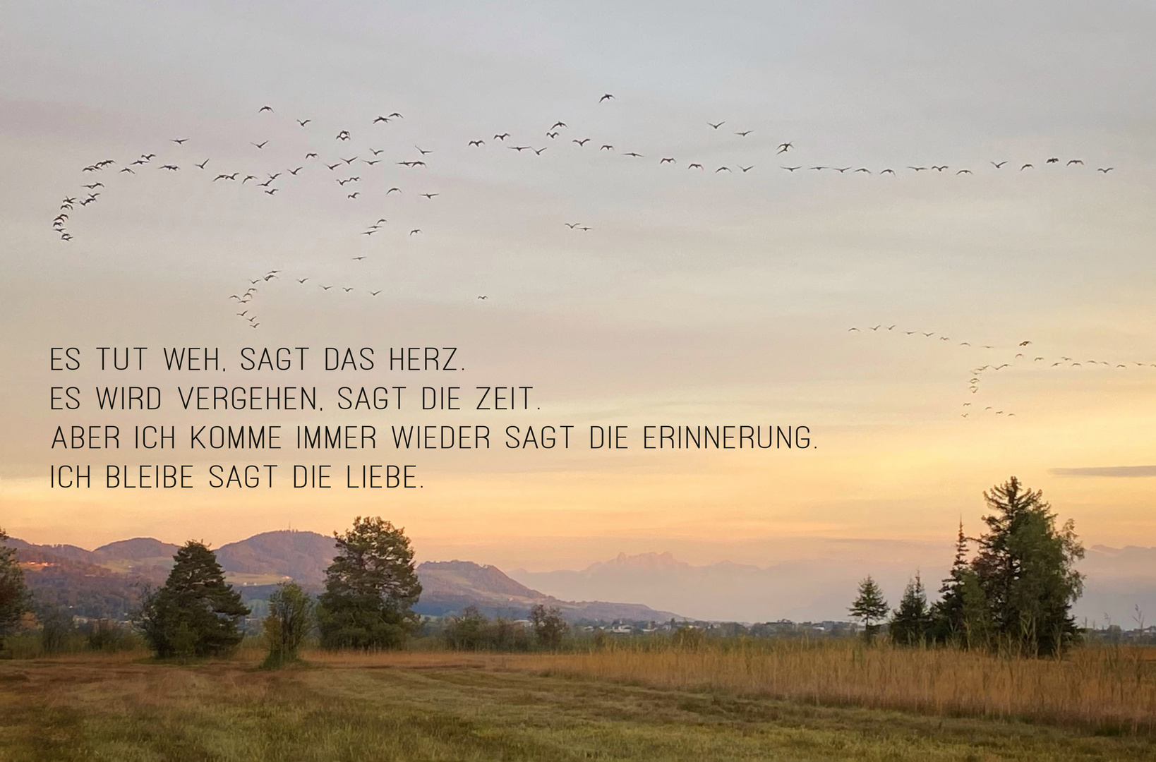 Abschied Foto & Bild karte, rebekka d., kartengrüsse Bilder auf