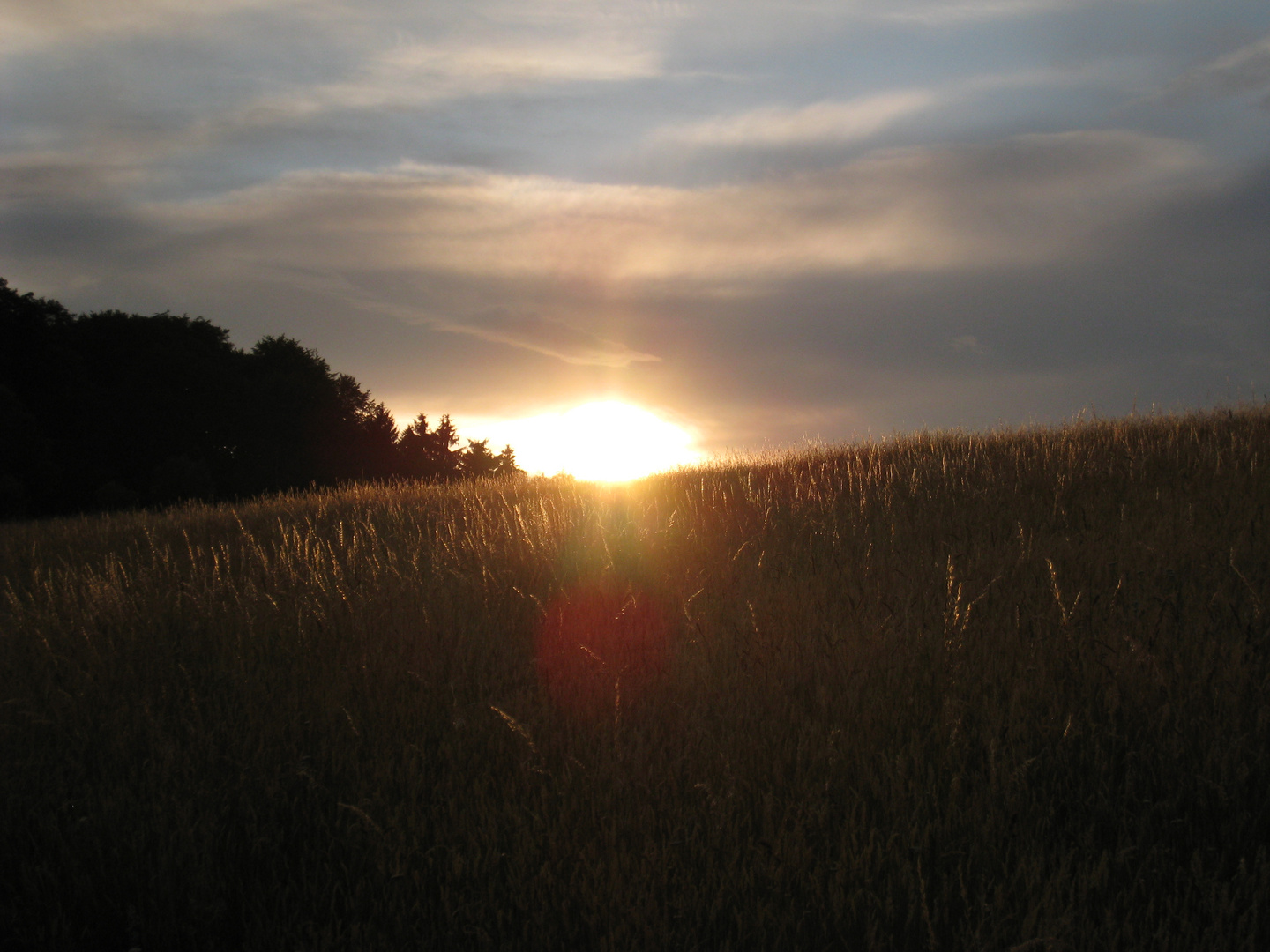 Abschied in Gold