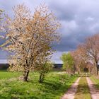 Abschied vom April