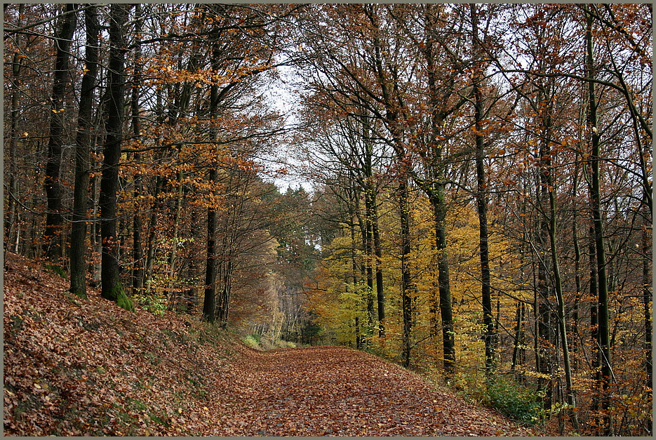 Abschied vom Blätterwald !