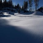 Abschied vom Dreisesselberg