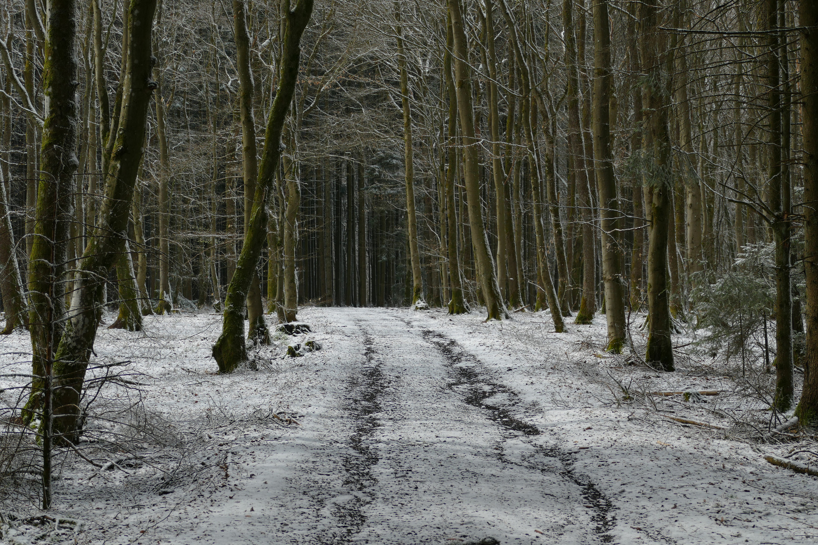 Abschied vom Eifelwinter