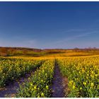 Abschied vom gelben Land der Horizonte