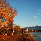 abschied vom goldenen oktober