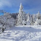 Abschied vom Grenchenberg