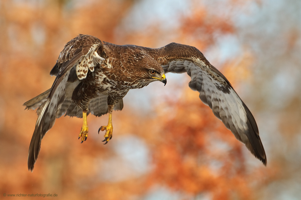 Abschied vom Herbst