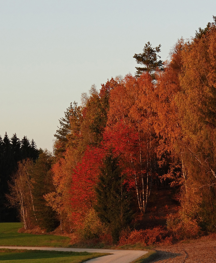 Abschied vom Herbst 2018  