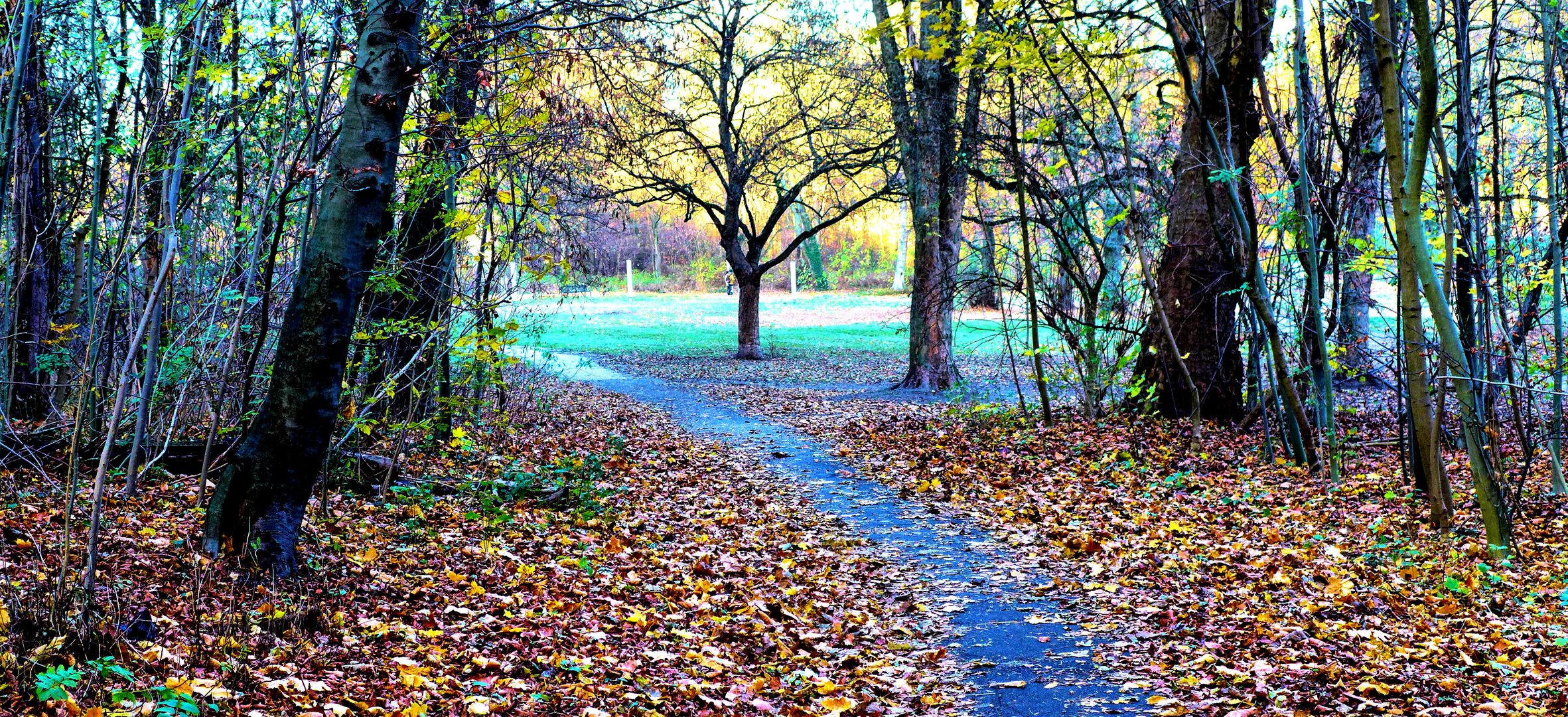 Abschied vom Herbst