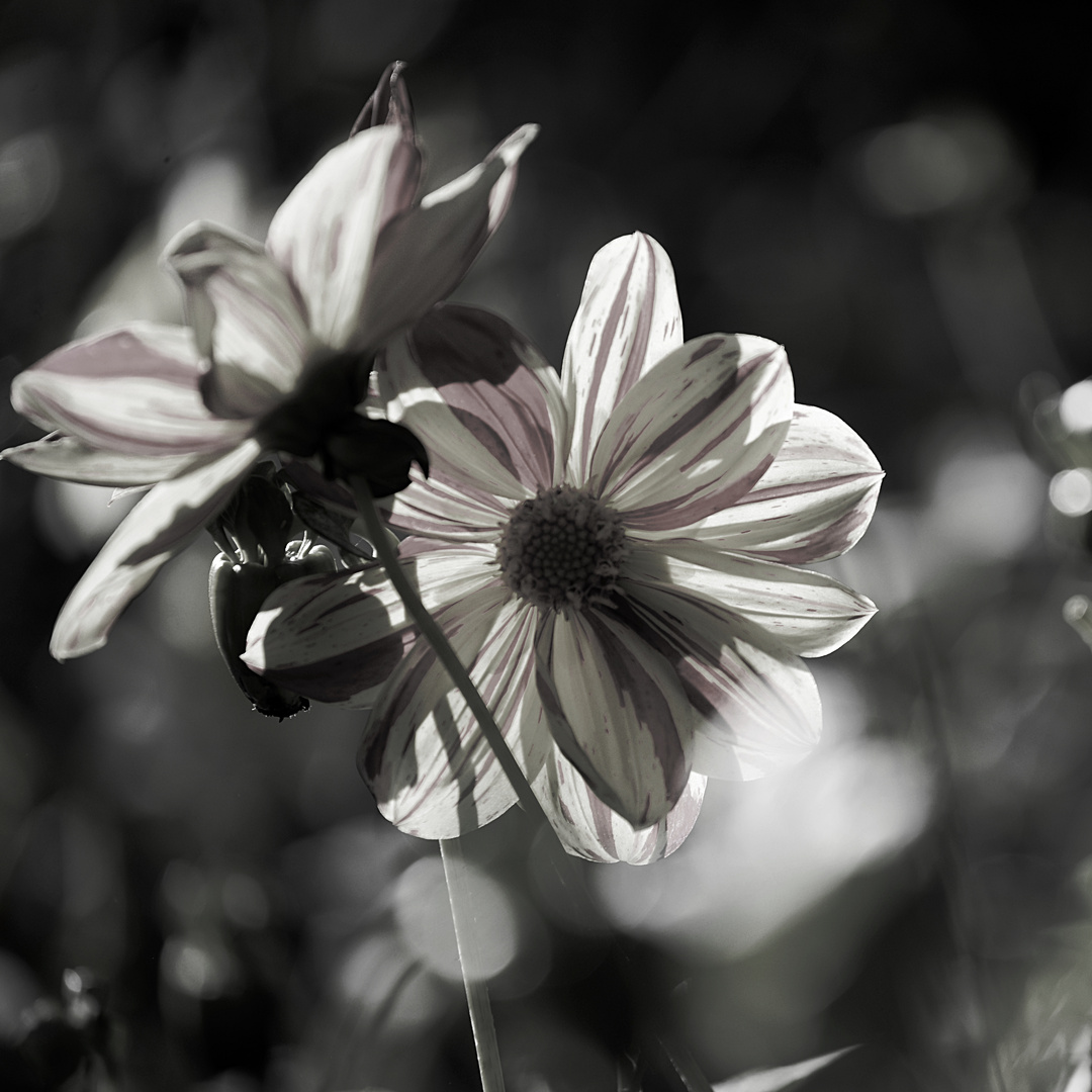 Abschied vom Herbst