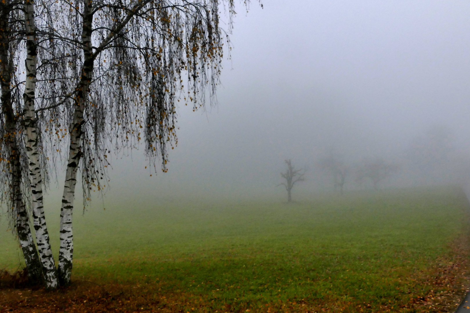 Abschied vom Herbst