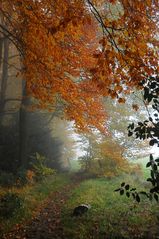 Abschied vom Herbst