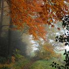 Abschied vom Herbst