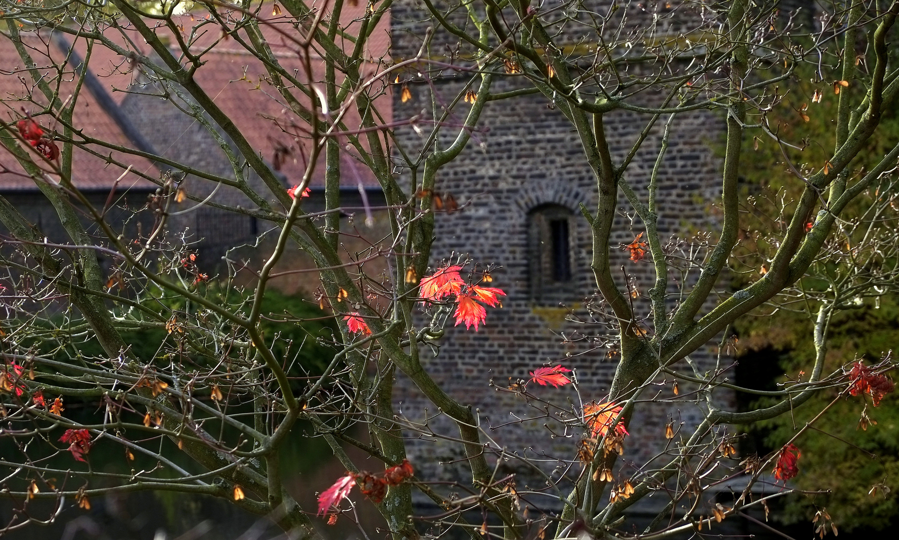 Abschied vom Herbst