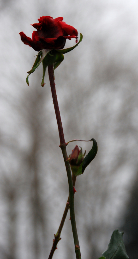 Abschied vom Herbst