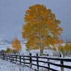 Abschied vom Herbst