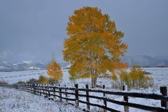 Abschied vom Herbst