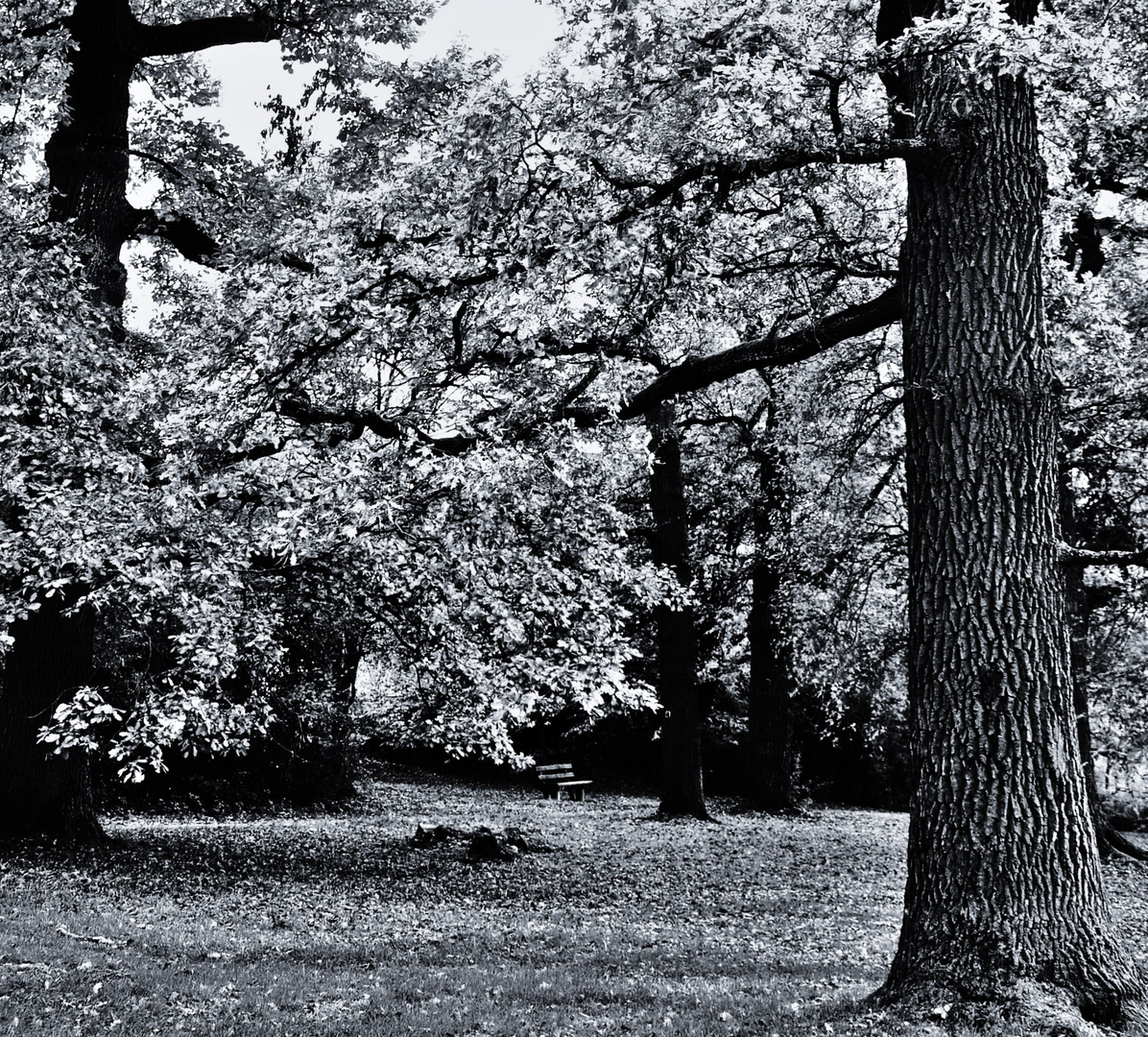 Abschied vom Herbst