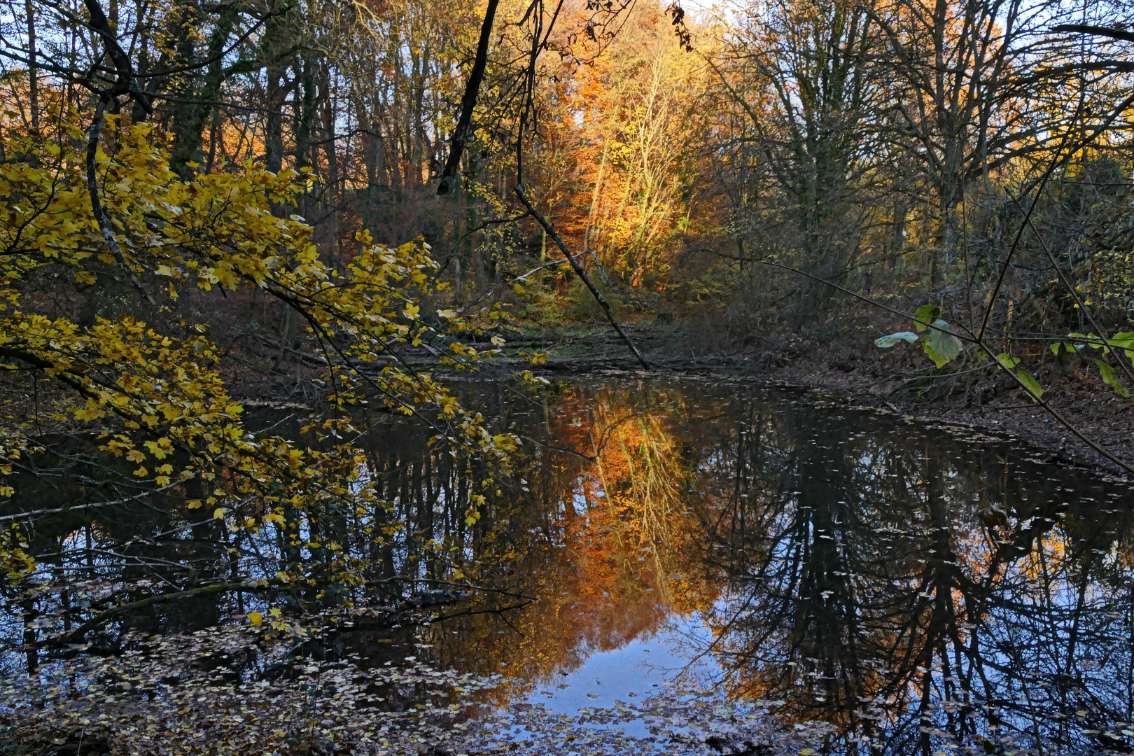 Abschied vom Herbst mit den letzten Sonnenstrahlen