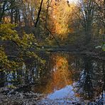 Abschied vom Herbst mit den letzten Sonnenstrahlen