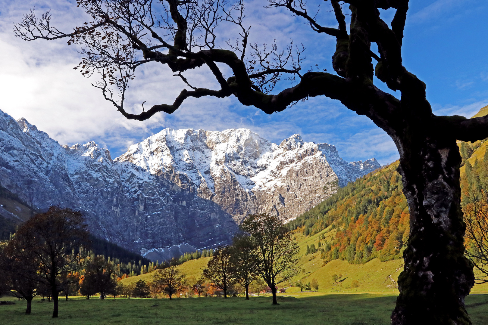 Abschied vom herbstlichen Großer Ahornboden