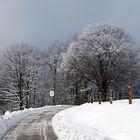 Abschied vom Jahrhundertwinter?