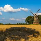 Abschied vom Münsterland... Der Urlaub ist vorbei. 