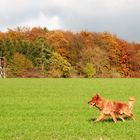 Abschied vom Oktober